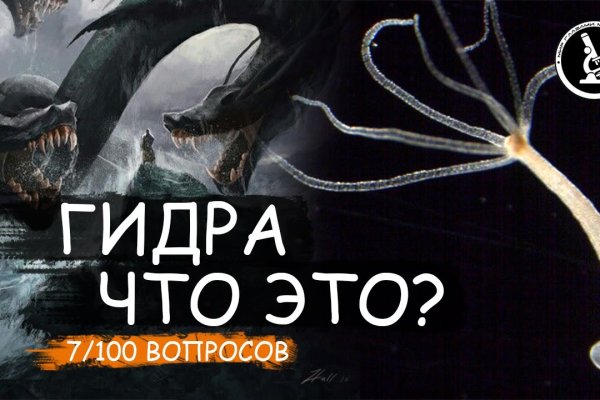 Kraken 14at
