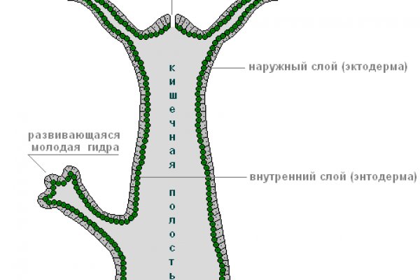 Ссылки на кракен com