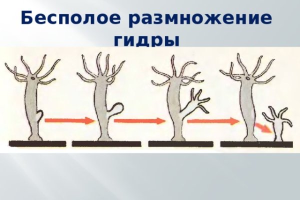 Гидра сайт в тор браузере ссылка