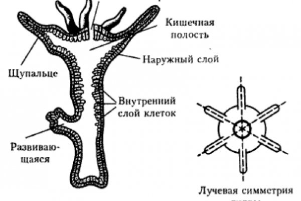 Кракен официальный сайт ссылка