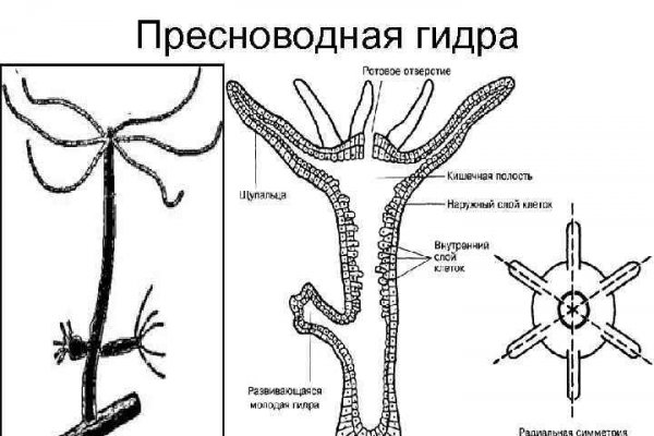 Кракен как войти через тор