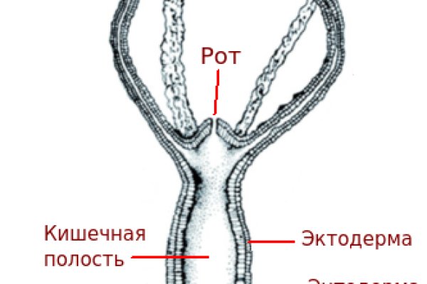 Kraken площадка